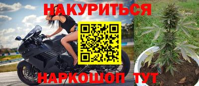 прущие крисы Брянск