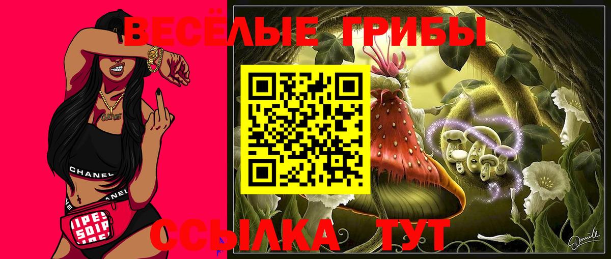 Псилоцибиновые грибы мицелий  Вход с VPN  Брянск  Псилоцибиновые грибы MAGIC MUSHROOMS 