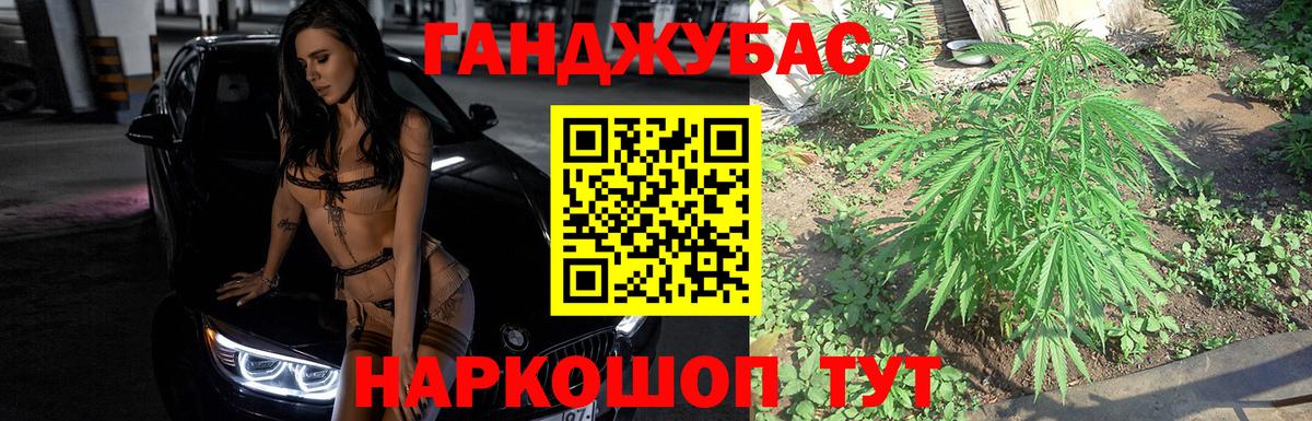 Брянск  Бошки марихуана план  Конопля Ganja  Вход с VPN 